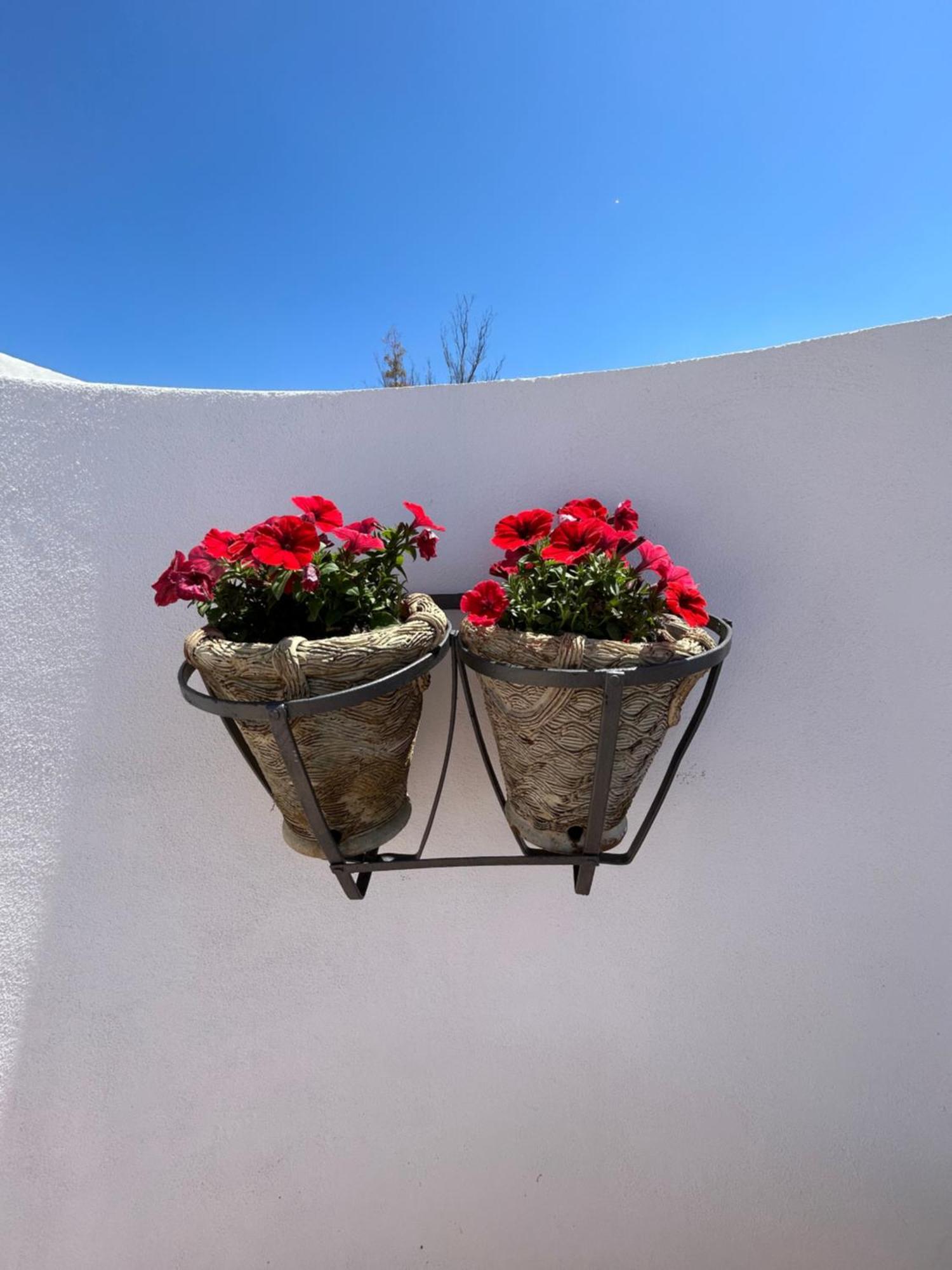La Casa Di Pippo Flora Bed & Breakfast Agrigento Luaran gambar